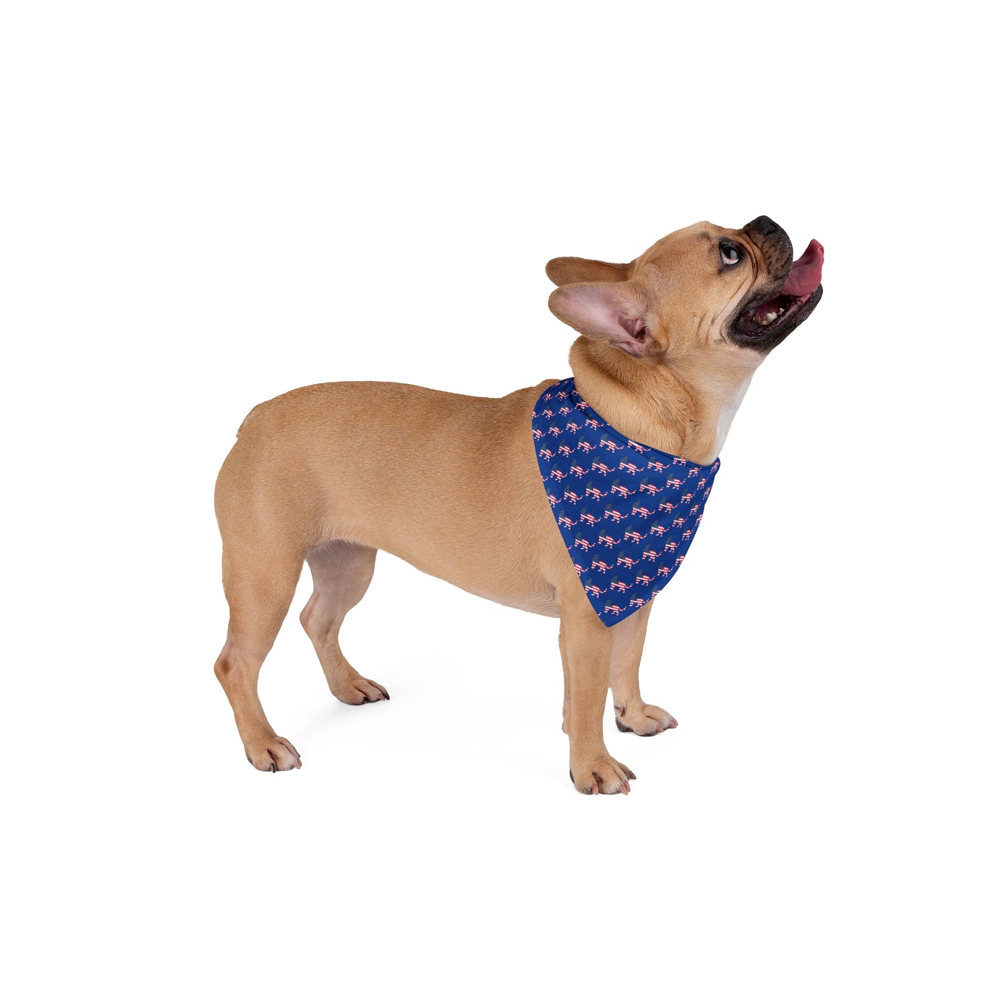 USA Kitty Pet Bandana