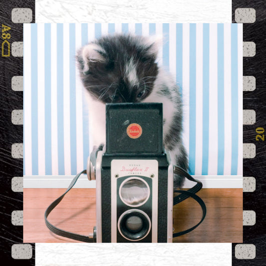 National Camera Day