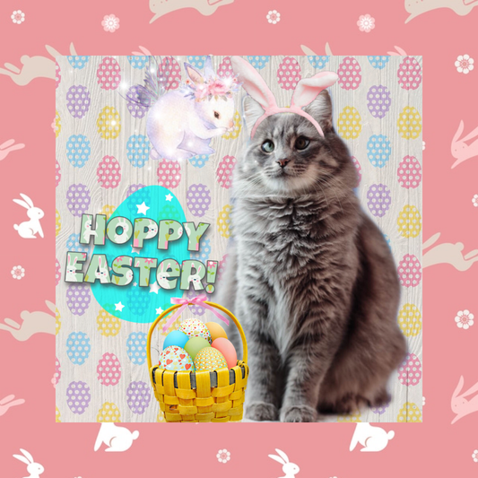 Hoppy Easter!
