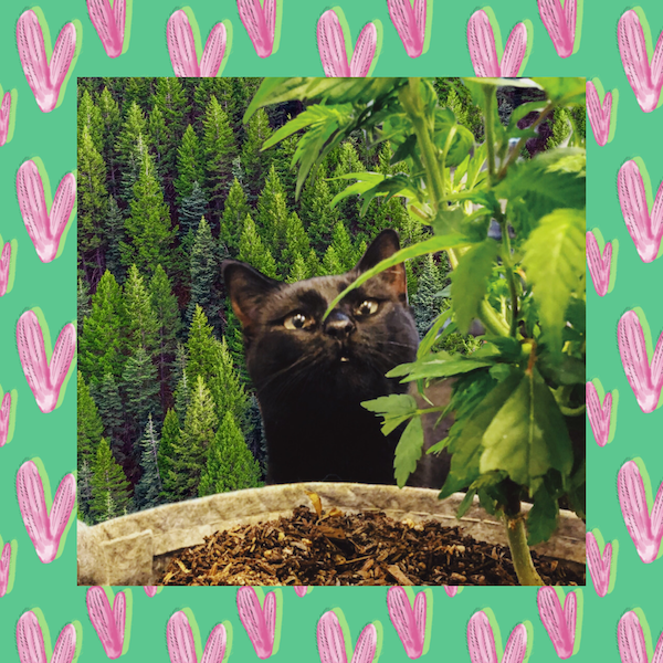 Potting Up!