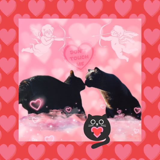 Luff is in the Air!