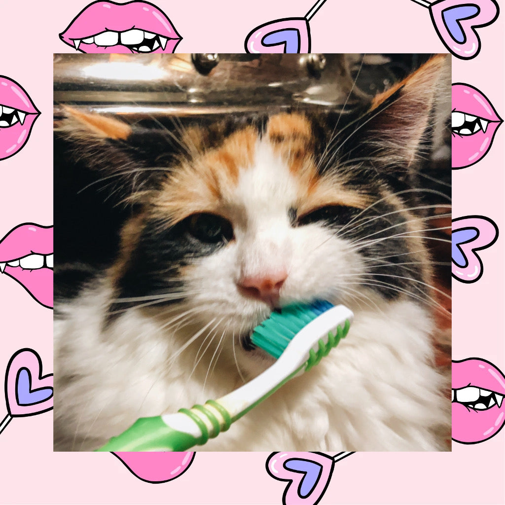 Brush Your Teeth