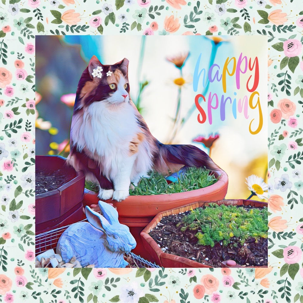 Spring has Sprung!